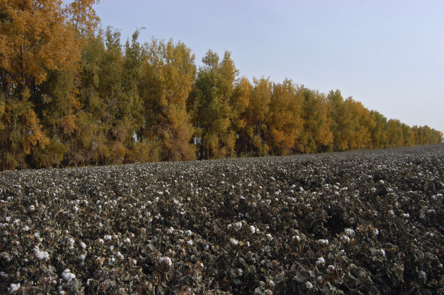 1年在华卖184亿美企斯凯奇为新疆棉发声耐克单季利润跌了36