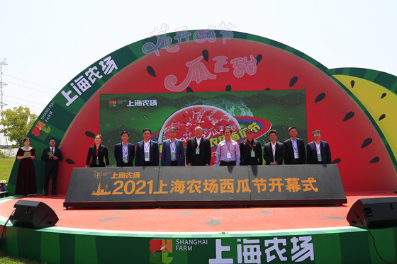 将黄海之滨的清甜送到市民果盘2021上海农场西瓜节开幕