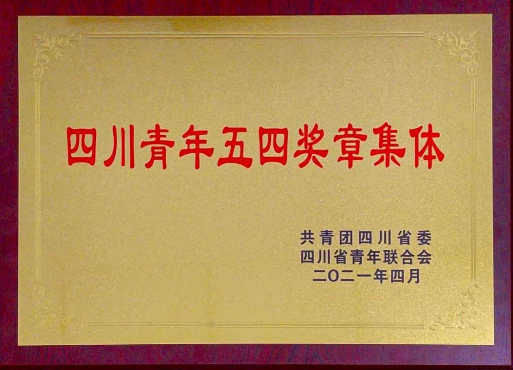 喜报丨亮晶晶向日葵工作室获评四川青年五四奖章集体