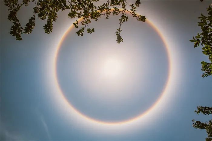 丽江人镜头下的日晕又双叒来了这也太美了吧