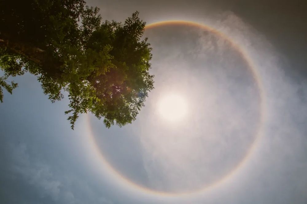 丽江人镜头下的日晕又双叒来了这也太美了吧