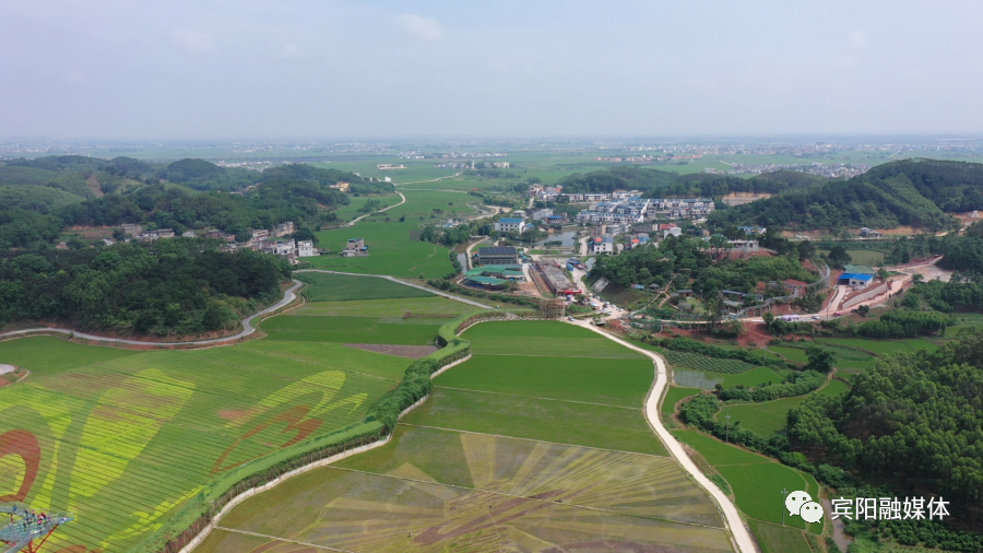 走4公里即到古辣镇大陆村;如果从宾阳方向走487县道,往甘棠方向27公里