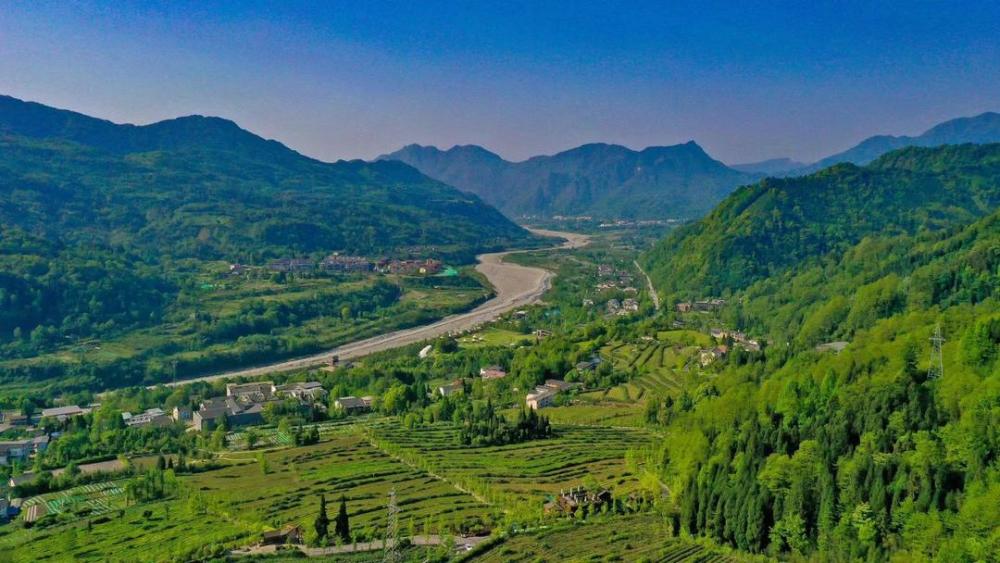 彭州宝山蔷薇花节启动 送你漫山遍野的美丽