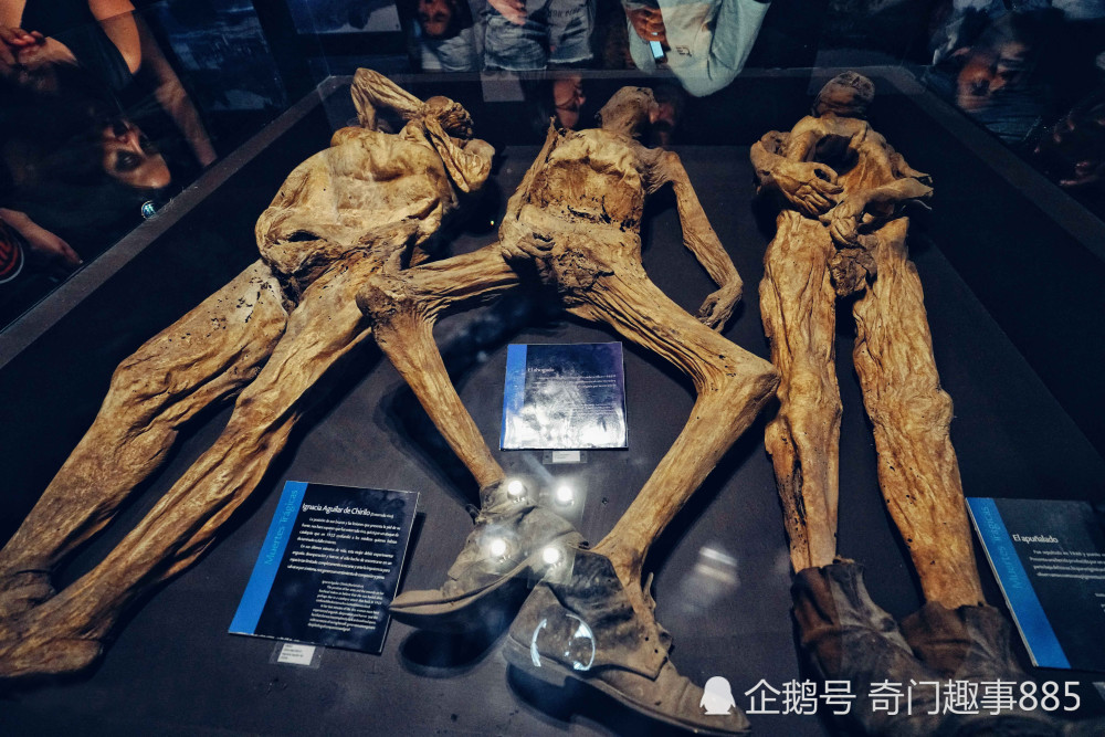 因木乃伊被感染了,成为最年长的护照持有人