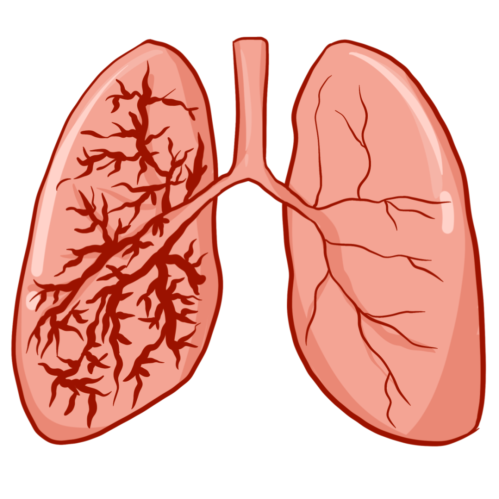 职业病防治法宣传周|尘肺病到底有多可怕_腾讯新闻
