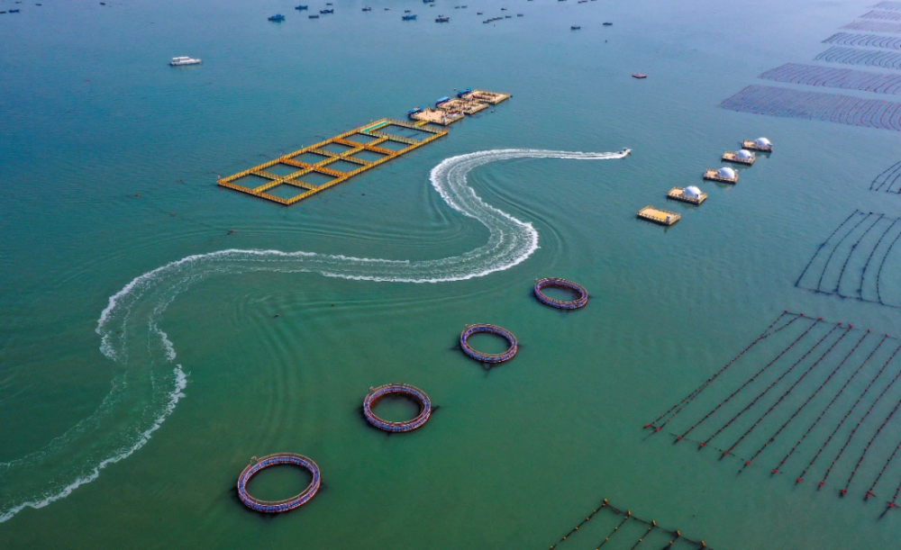 2亿元打造,是国家级海洋牧场示范区.