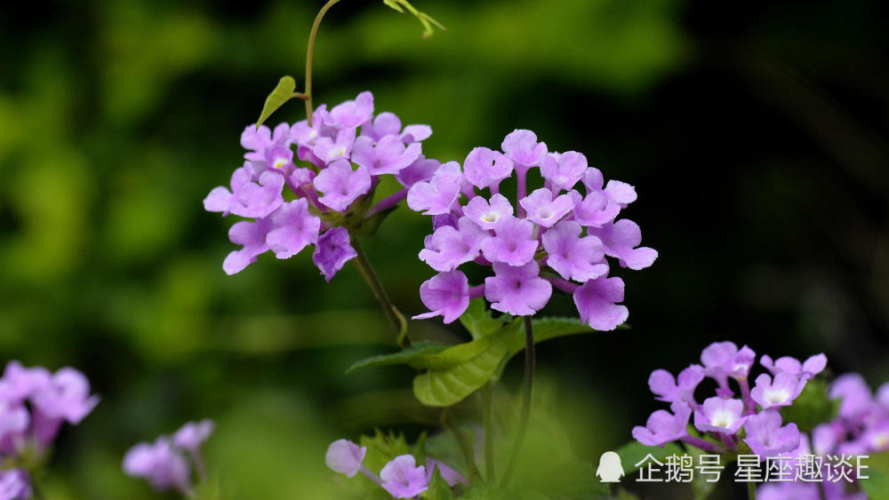 5月1日 10日星座运势 双子斗志昂扬 天蝎量力而为 水瓶拼尽全力 腾讯新闻