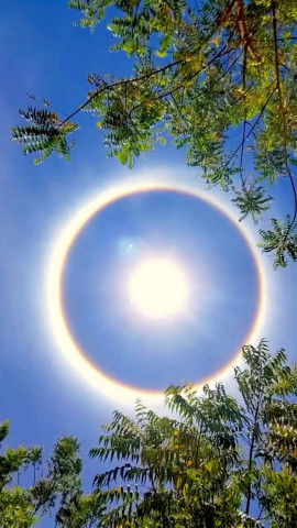 刷爆全网的日光晕