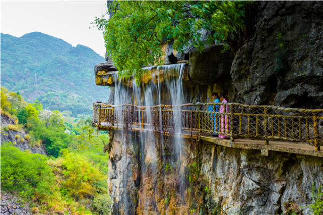 这个藏在阳山国家地质公园的石林 里面简直就是一个 动物园 腾讯新闻