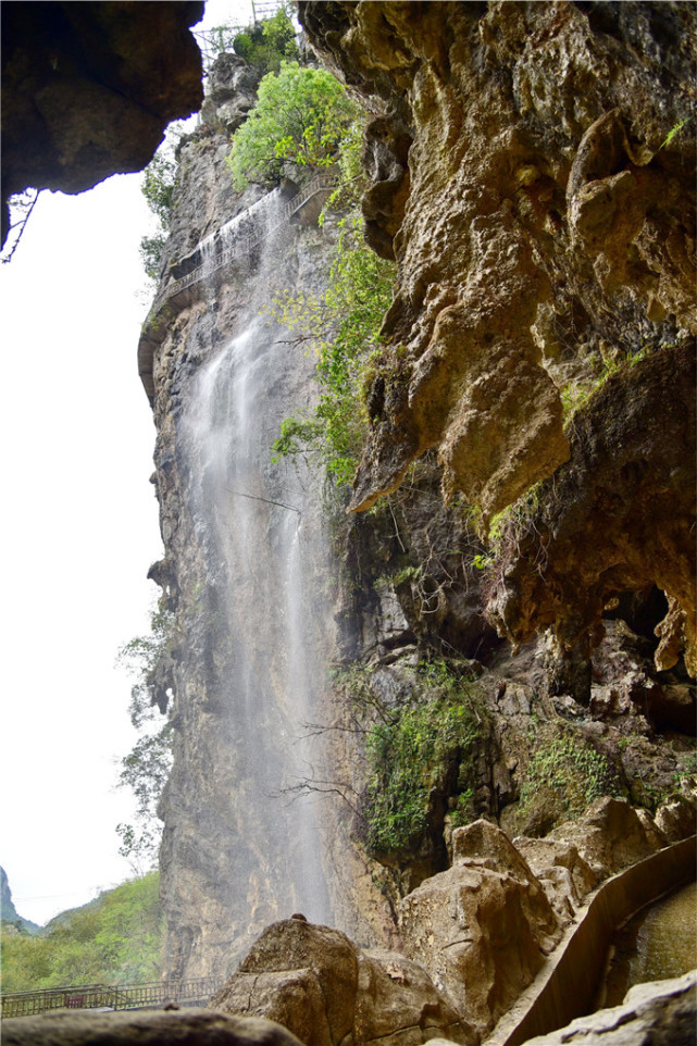 这个藏在阳山国家地质公园的石林 里面简直就是一个 动物园 腾讯新闻