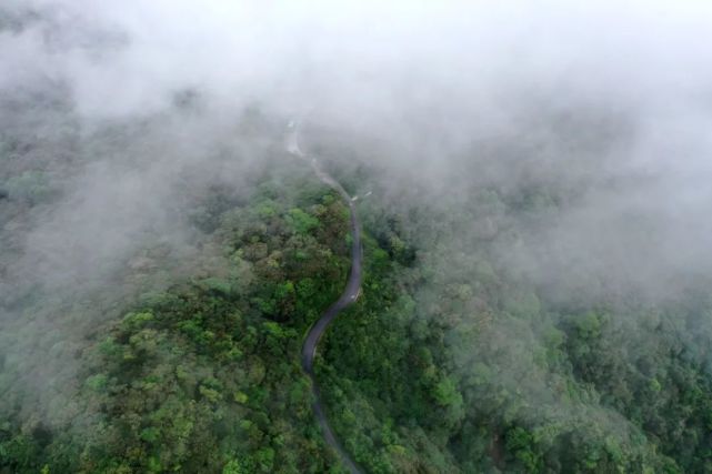 老山界山景图图片