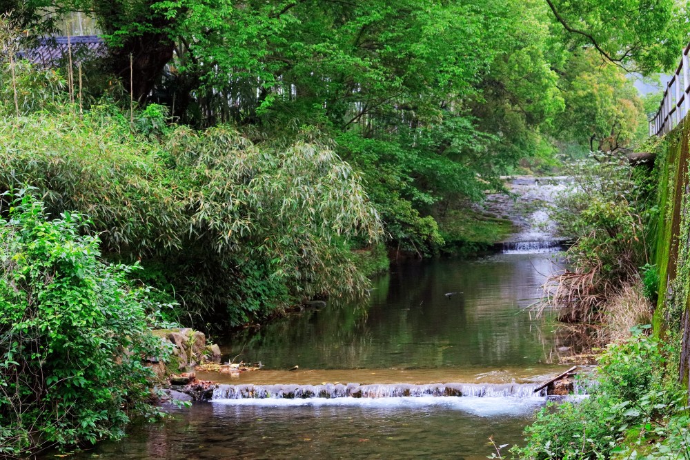宁波横溪发现一个古村,溪水淙淙如诗如画,好像现实版的绿野仙踪