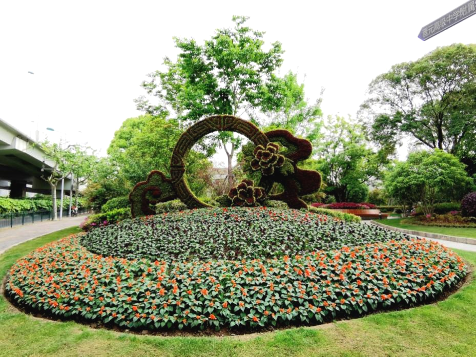 圆形花坛植物搭配图片