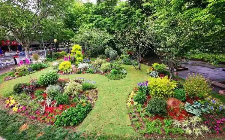 迎五一申城街头和公园里的花坛花境都美美哒