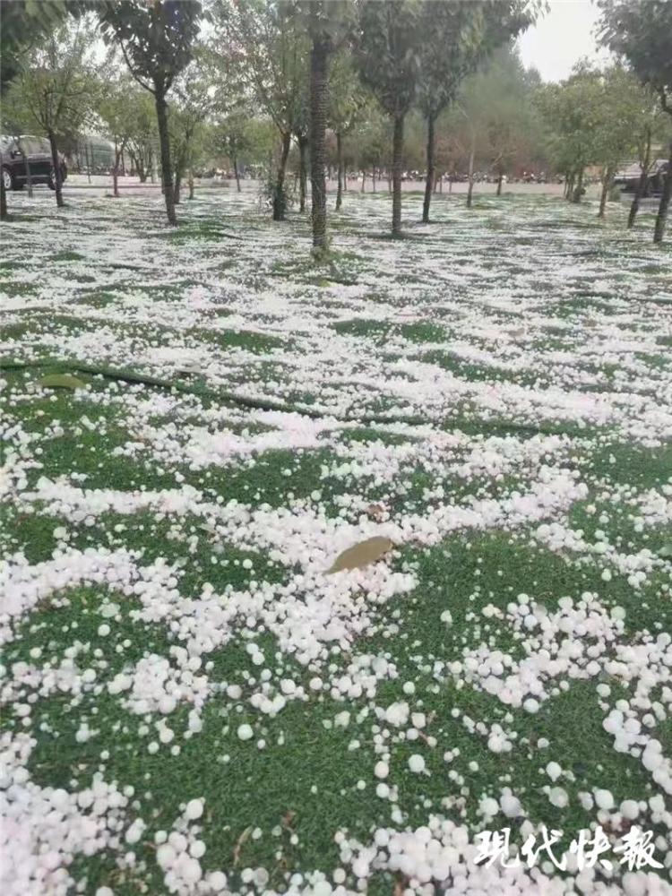 连云港下冰雹了大的犹如鸽子蛋