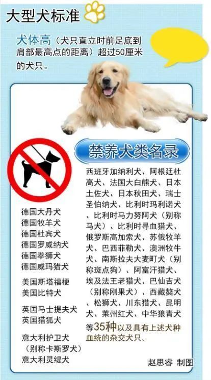 中国烈性犬禁养令图片