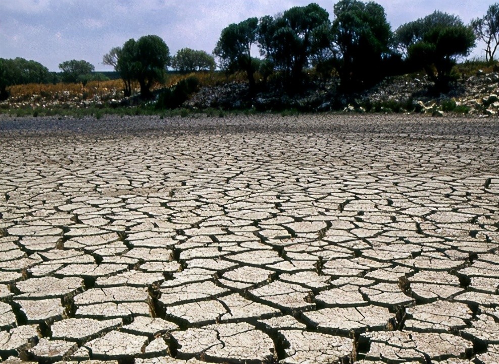 地球气候环境逐渐恶化,科学家:如不保护,需尽快脱离地球!