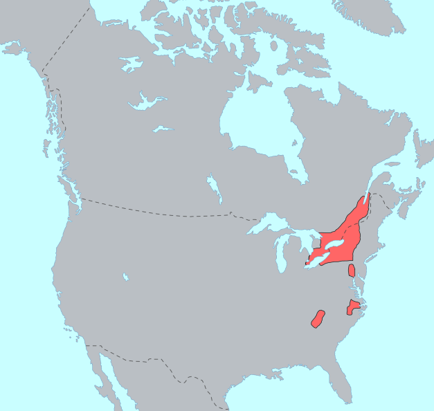 易洛魁联盟地图图片