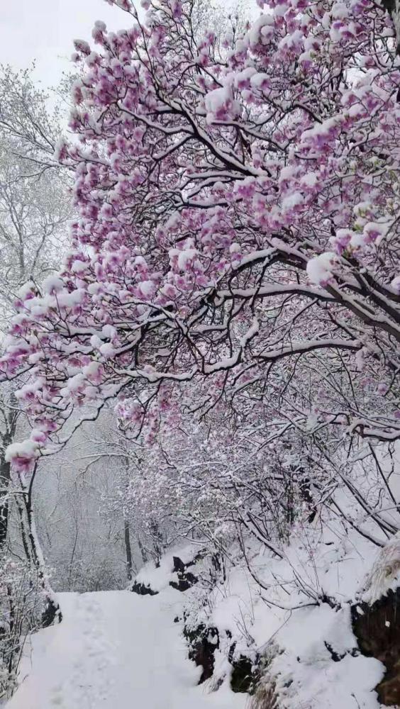 2021年4月30日,河北省保定市迎来降水,位于该市涞水县的野三坡景区也