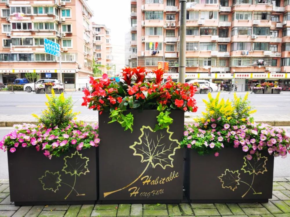 主要使用草花品种有凤梨,无尽夏绣球,糖果凤梨,金边铁,变叶木,金叶