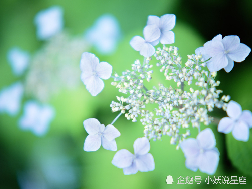 5月1日爱情运势 桃花敲门 情真意切的四大星座 腾讯新闻