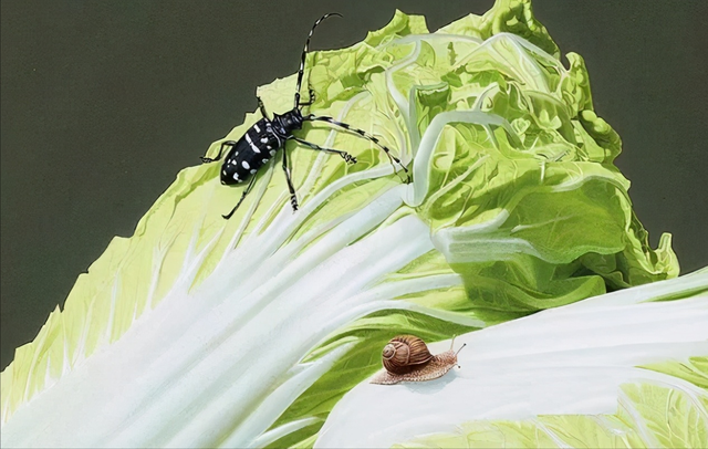 他精心画了两颗白菜,嫩绿且逼真,专家却被白菜下的半截砖吸引