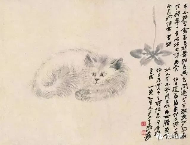 近代  张大千  《猫》此外,由于猫与虎的形象相似,都属于猫科动物