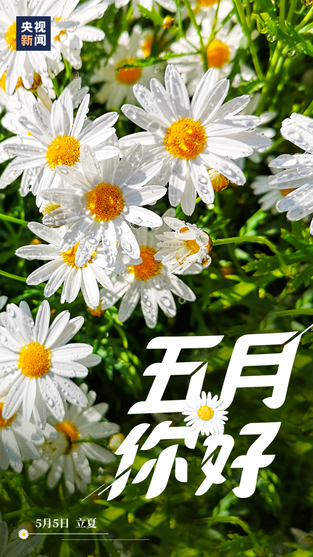 【海报】五月,你好_腾讯网