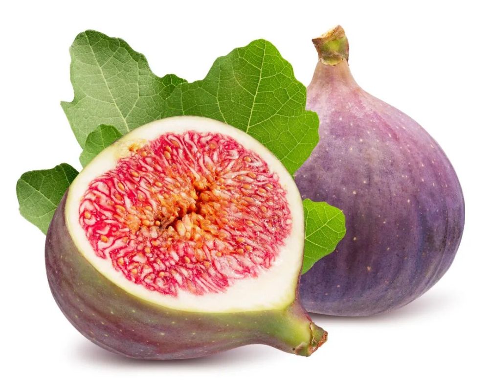 高清美食素材:无花果_腾讯新闻