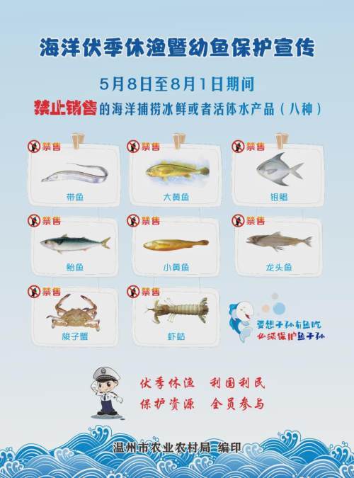 明天起温州全面休渔禁渔
