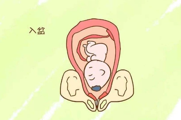 入盆后孕妈会有什么感觉 当胎动在这个部位时 就是入盆了 腾讯新闻