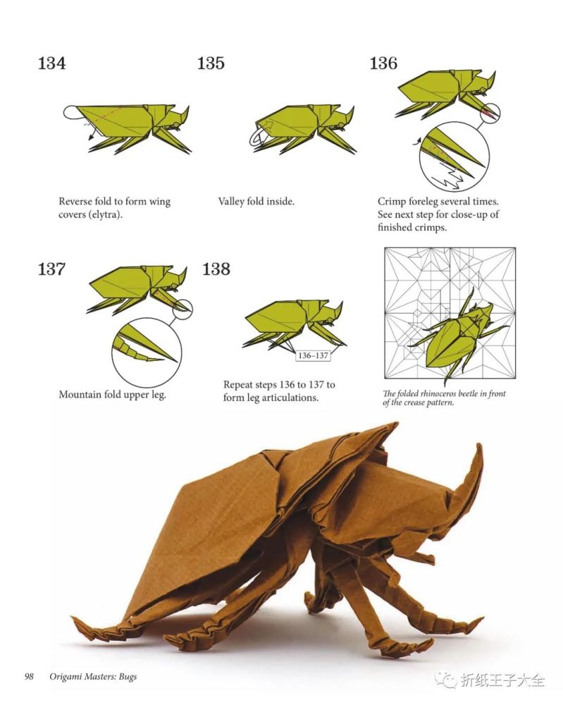 折纸图解犀甲虫