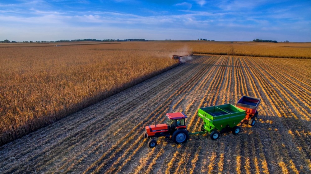 农业是叙利亚最重要的支柱产业,通过农业种植业,解决了两千多万叙利亚