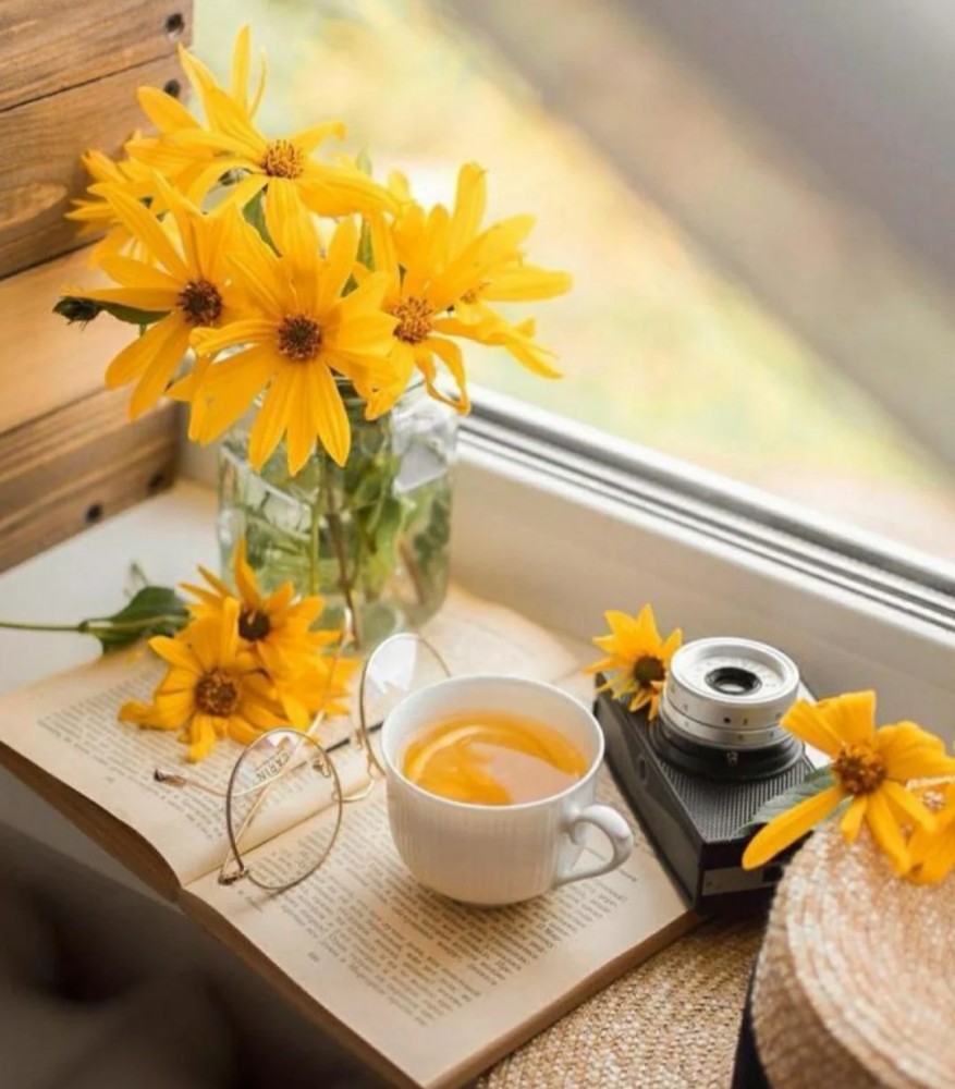 你要的五月份的最美文案