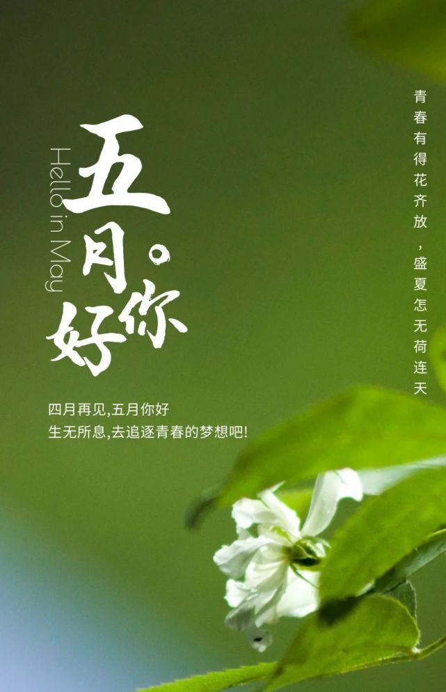 四月再见五月你好万里挑一致自己