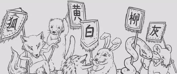 民间供奉的五大家仙灰黄狐白柳狐是狐仙其余四个是什么