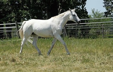 的增长,更多的是自己的自身价值的提升,不少人在这期间有跳槽的机会
