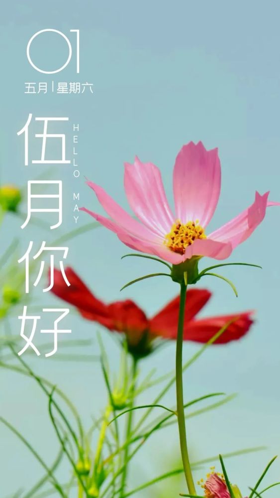 四月再见,五月你好!