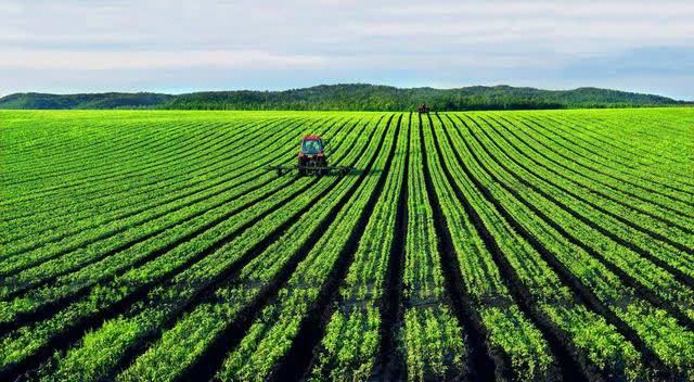 当初国家调动大量人力开垦北大荒,如今北大荒为啥要退耕还荒