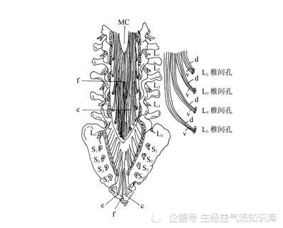 低血圧は目の問題を引き起こす可能性があります