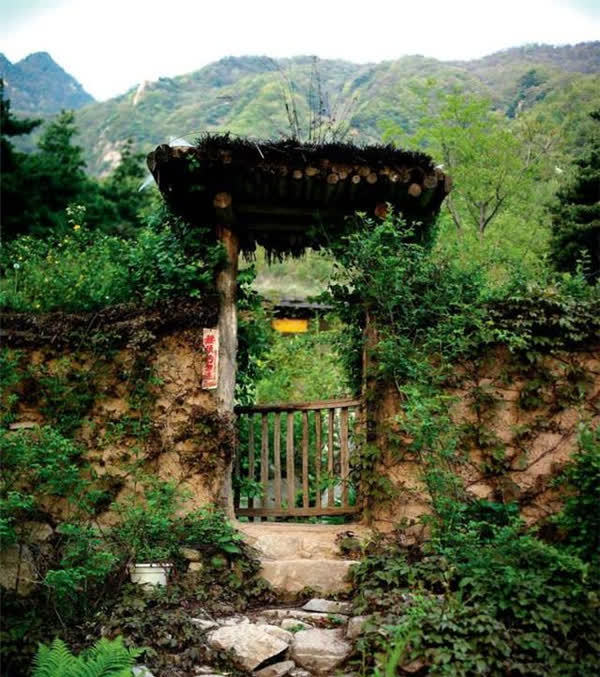 终南山第一隐士隐居30余年每天清水白菜家人再见时已不敢认