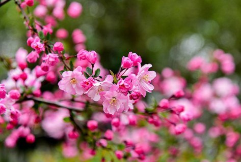 赞摄影艺术技巧句子(赞美摄影作品精彩的句子)