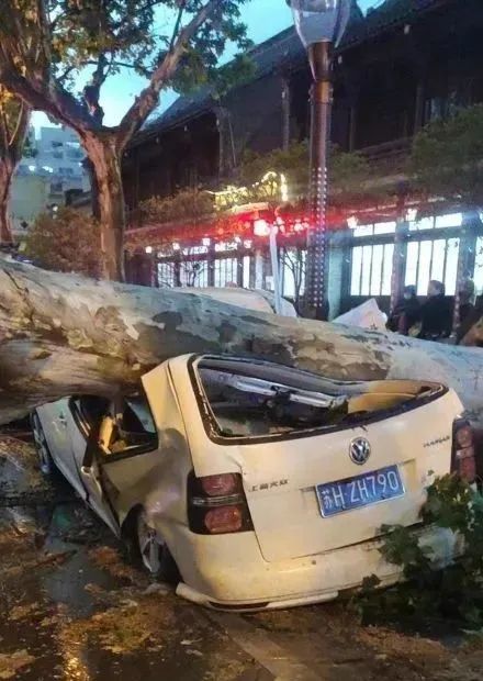 被网友戏称为"妖风".