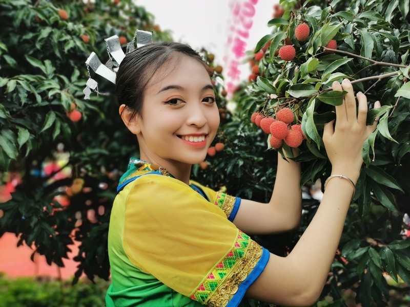 2021年乐东荔枝采摘活动隆重开幕