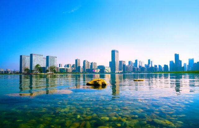 是的我就是个在杭州湾新区卖房子的