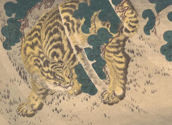 叙诡笔记为虎作伥的伥究竟是个什么鬼