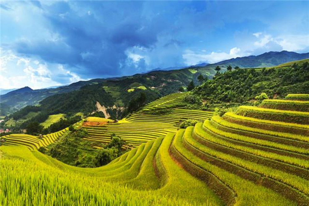 云南有一处世界遗产——红河哈尼梯田,它具体位置在哪呢?