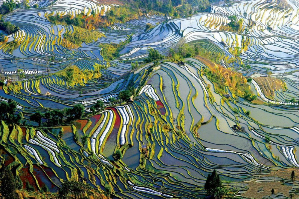 云南有一处世界遗产红河哈尼梯田它具体位置在哪呢