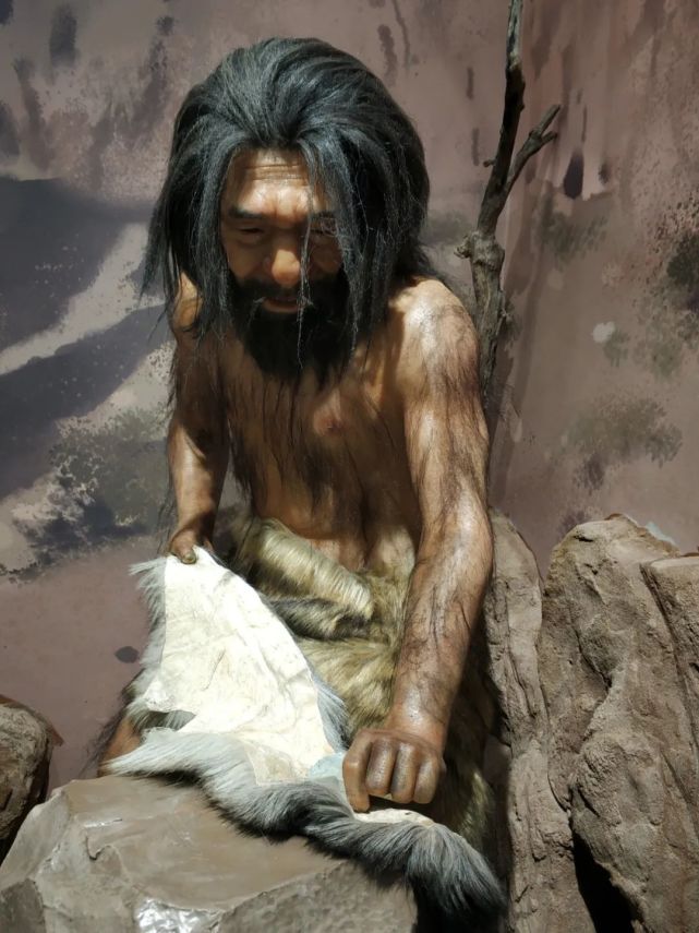 一位北京猿人更是穿越到现代时空,身着唐装布鞋,来到中国古动物馆,他