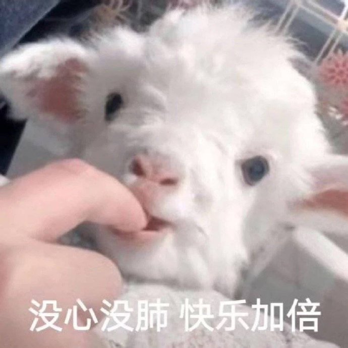 可爱小羊表情包